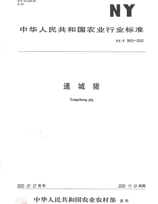 NYT 3653-2020 通城猪