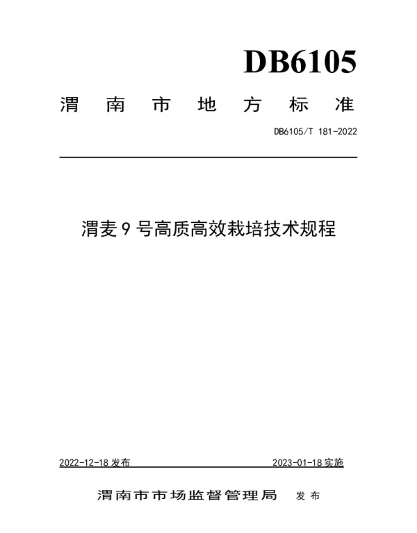 DB6105T 181-2022 渭麦9 号栽培技术规程