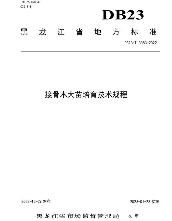 DB23T 3383—2022 接骨木大苗培育技术规程