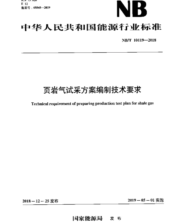 NBT 10119-2018 页岩气试采方案编制技术要求