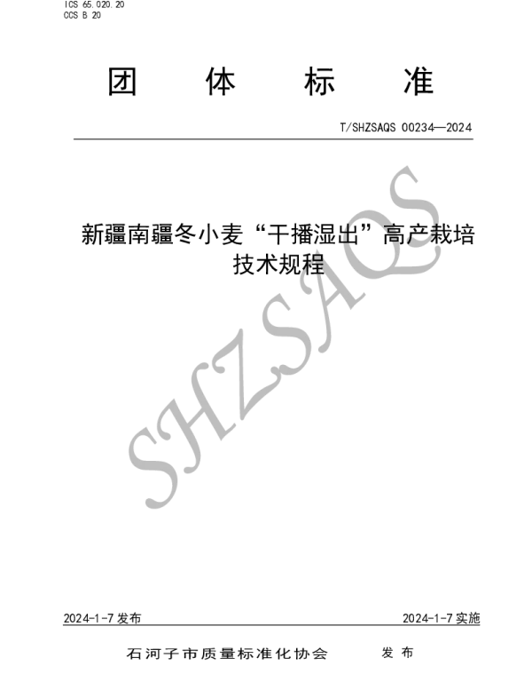 TSHZSAQS 00234-2024 新疆南疆冬小麦干播湿出高产栽培技术规程