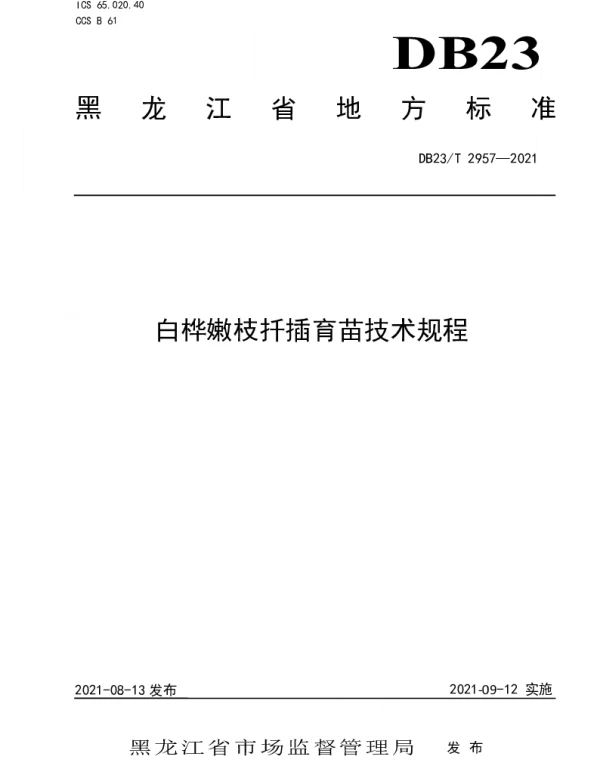 DB23T 2957—2021 白桦嫩枝扦插育苗技术规程
