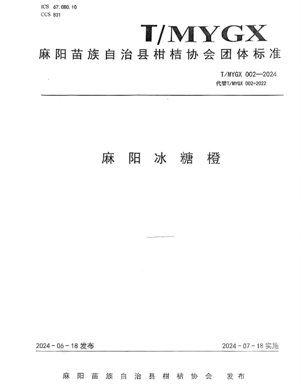 TMYGX 002-2024 麻阳冰糖橙