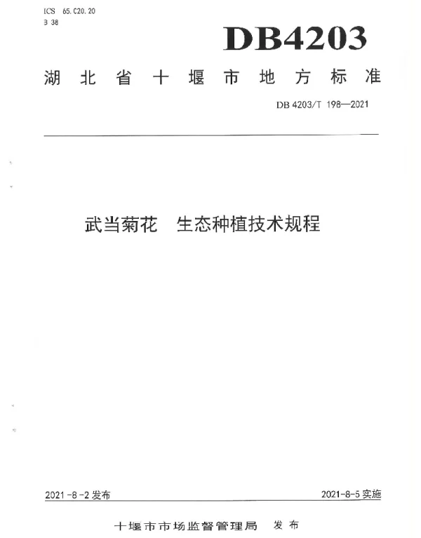 DB4203T 198-2021 武当菊花  生态种植技术规程