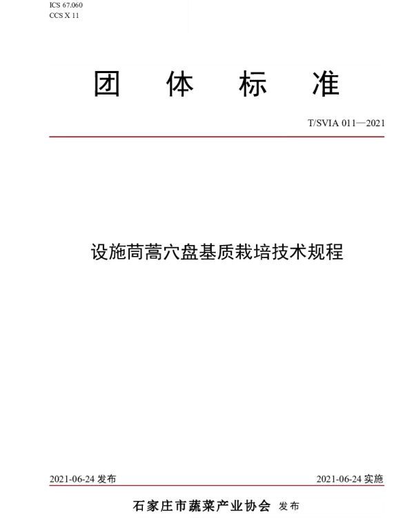 TSVIA 011-2021 设施茼蒿穴盘基质栽培技术规程