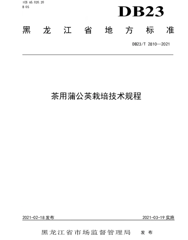 DB23T 2810—2021 茶用蒲公英栽培技术规程
