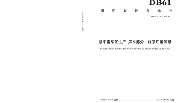 DB61T 307.5-2021 紫阳富硒茶生产 红茶质量等级