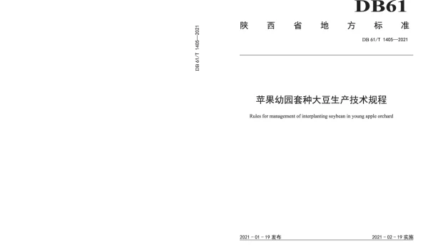 DB61T 1405-2021 苹果幼园套种大豆生产技术规程