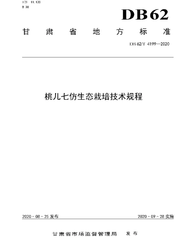 DB62T 4199-2020 桃儿七仿生态栽培技术规程