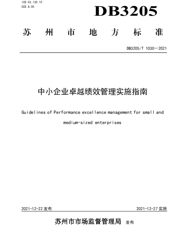 DB3205T 1030-2021 中小企业卓越绩效管理实施指南
