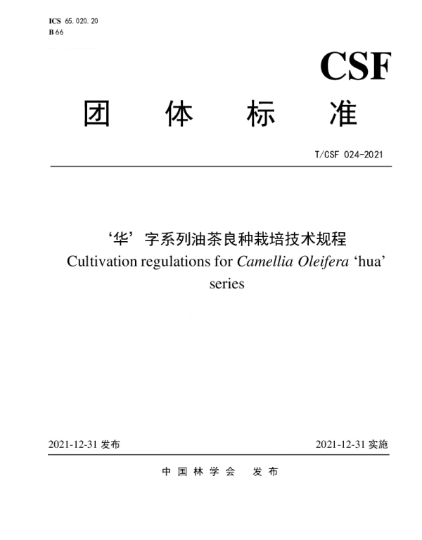 TCSF 024-2021 ‘华’字系列油茶良种栽培技术规程