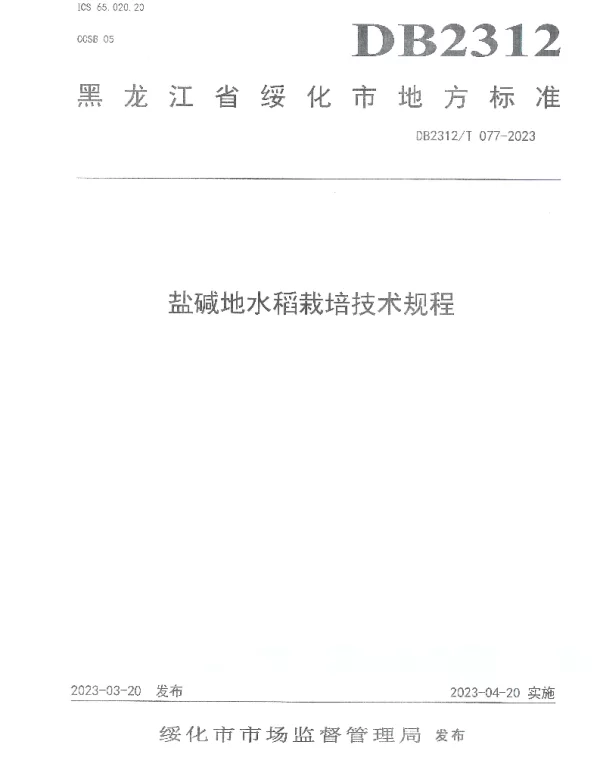 DB2312T 077-2023 盐碱地水稻栽培技术规程