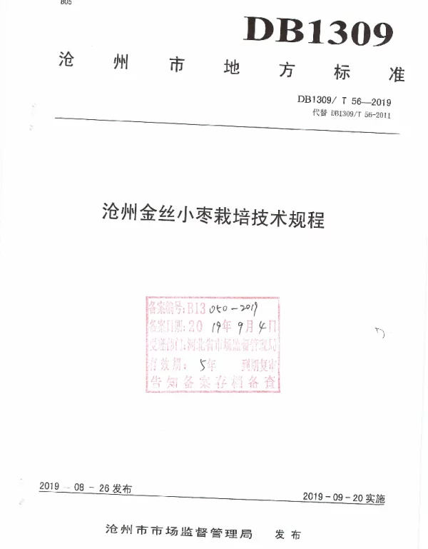 DB1309T 56-2019 沧州金丝小枣栽培技术规程