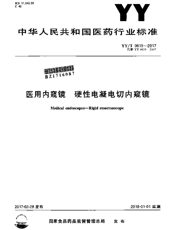 YYT 0619-2017 医用内窥镜硬性电凝电切内窥镜