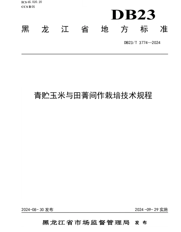 DB23T 3774—2024 青贮玉米与田菁栽培技术规程