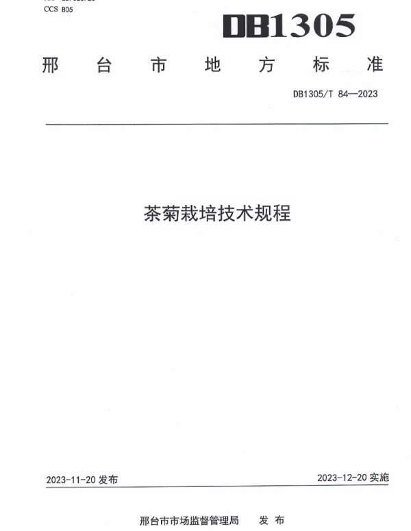 DB1305T 84-2023 茶菊栽培技术规程