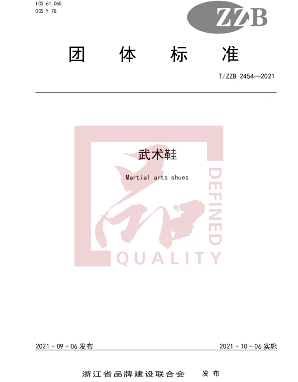 TZZB 2454-2021 武术鞋