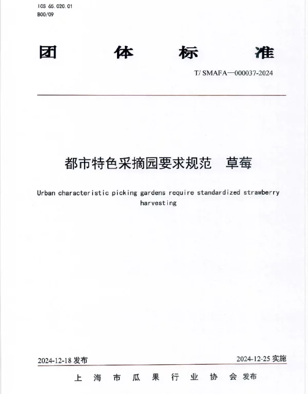 TSMAFA 000037-2024 都市特色采摘园要求规范  草莓