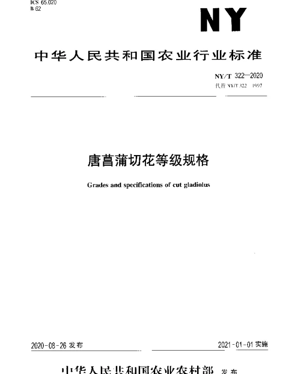NYT 322-2020 唐菖蒲切花等级规格