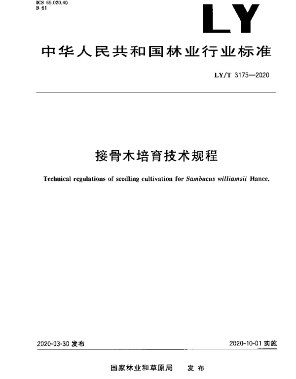 LYT 3175-2020 接骨木培育技术规程