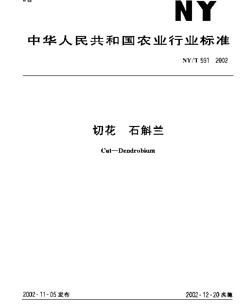 NYT 591-2002 切花 石斛兰