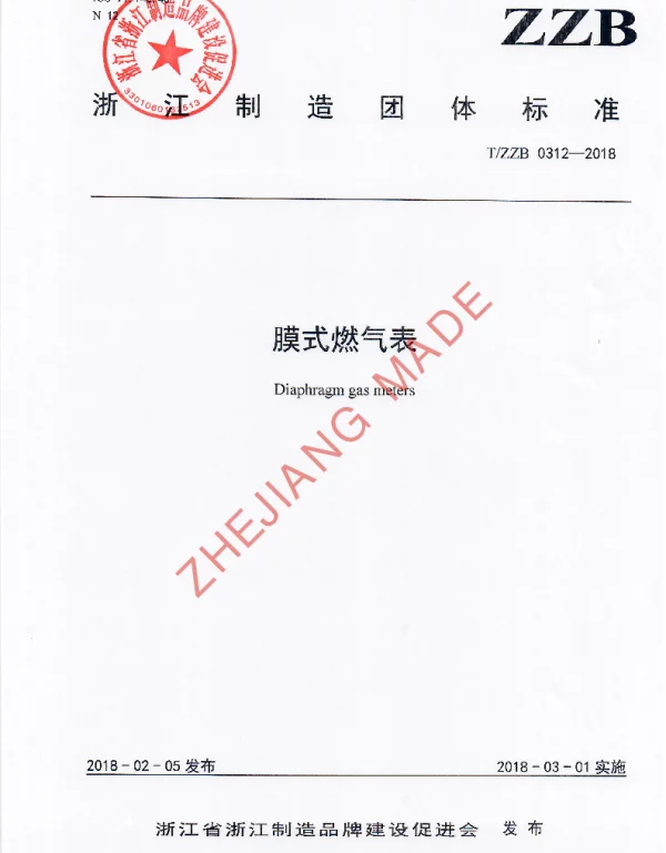 TZZB 0312-2018 膜式燃气表