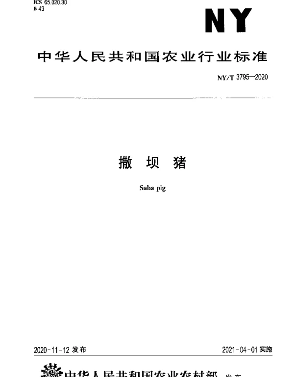 NYT 3795-2020 撒坝猪