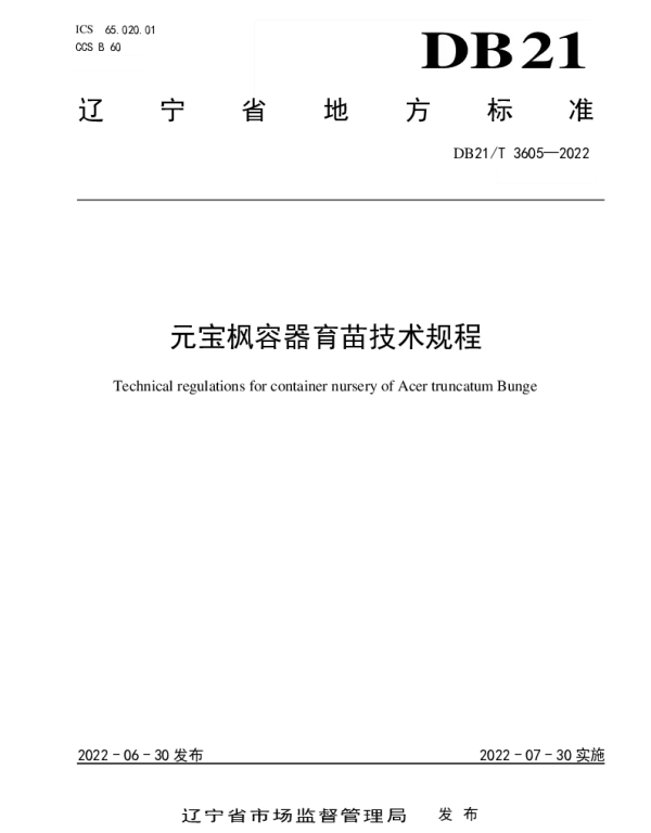 DB21T 3605-2022 元宝枫容器育苗技术规程