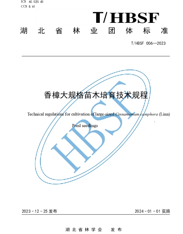 THBSF 006-2023 香樟大规格苗木培育技术规程