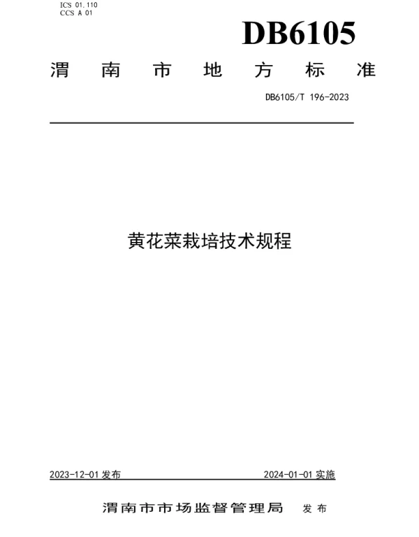 DB6105T 196-2023 黄花菜生产技术规程
