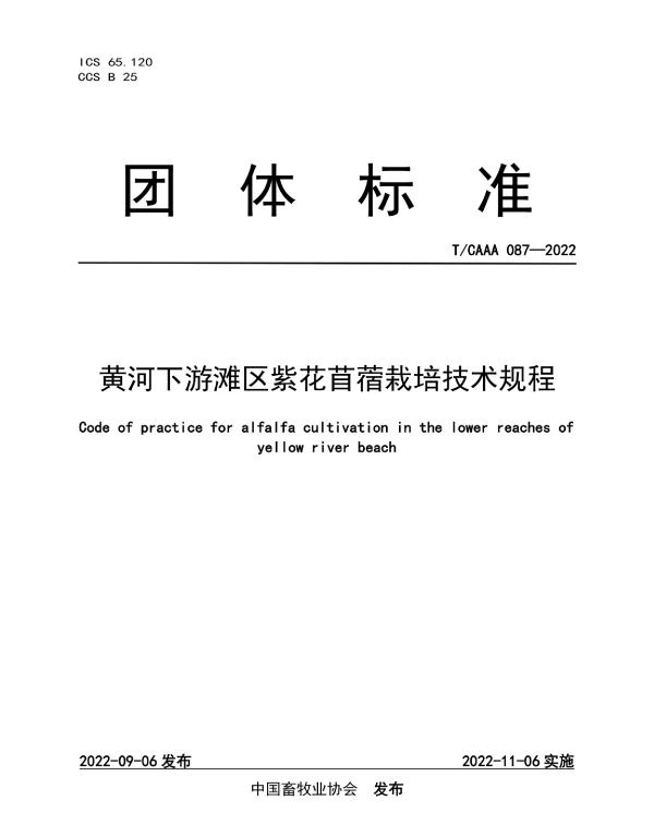 TCAAA 087-2022 黄河下游滩区紫花苜蓿栽培技术规程
