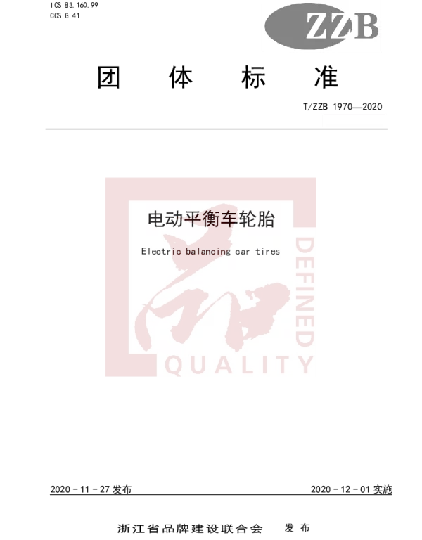 TZZB 1970-2020 电动平衡车轮胎