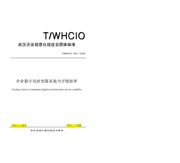 TWHCIO 1001-2022 企业数字化转型服务能力评级标准