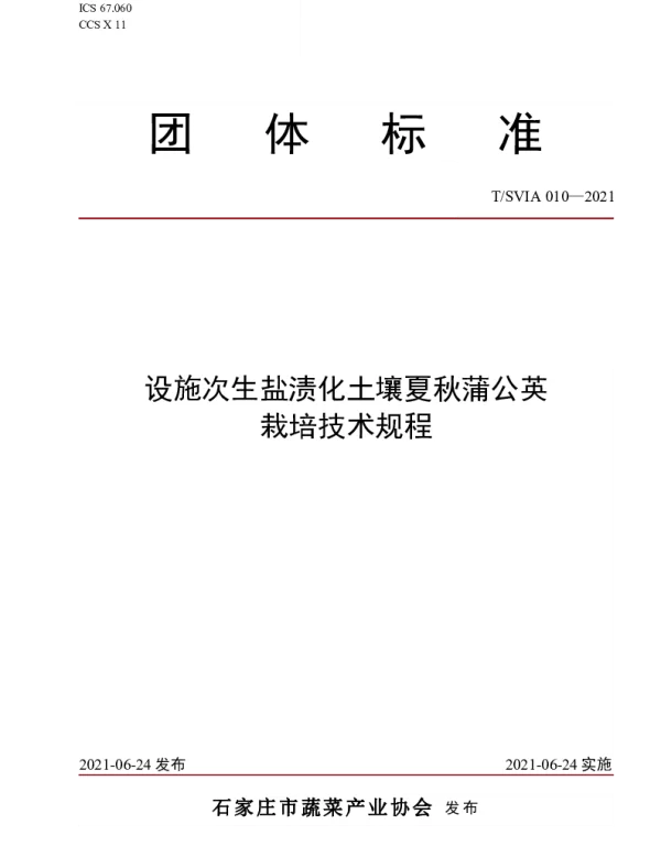 TSVIA 010-2021 设施次生盐渍化土壤夏秋蒲公英栽培技术规程
