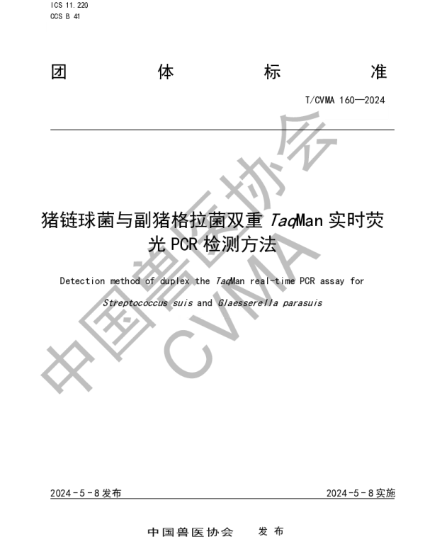 TCVMA 160-2024 猪链球菌与副猪格拉菌双重TaqMan实时荧光PCR检测方法