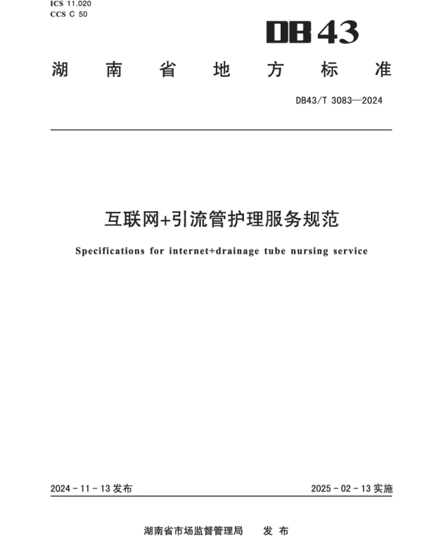 DB43T 3083-2024 互联网 引流管护理服务规范