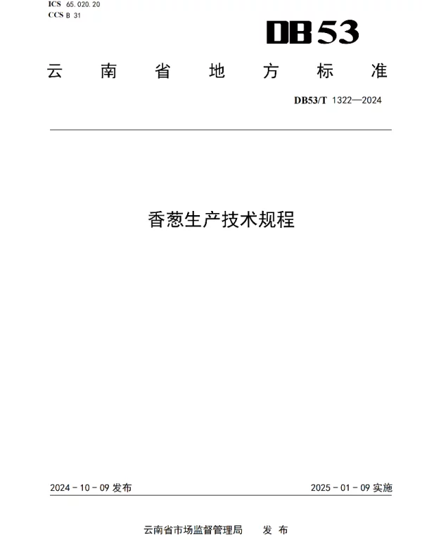 DB53T 1322-2024 香葱生产技术规程