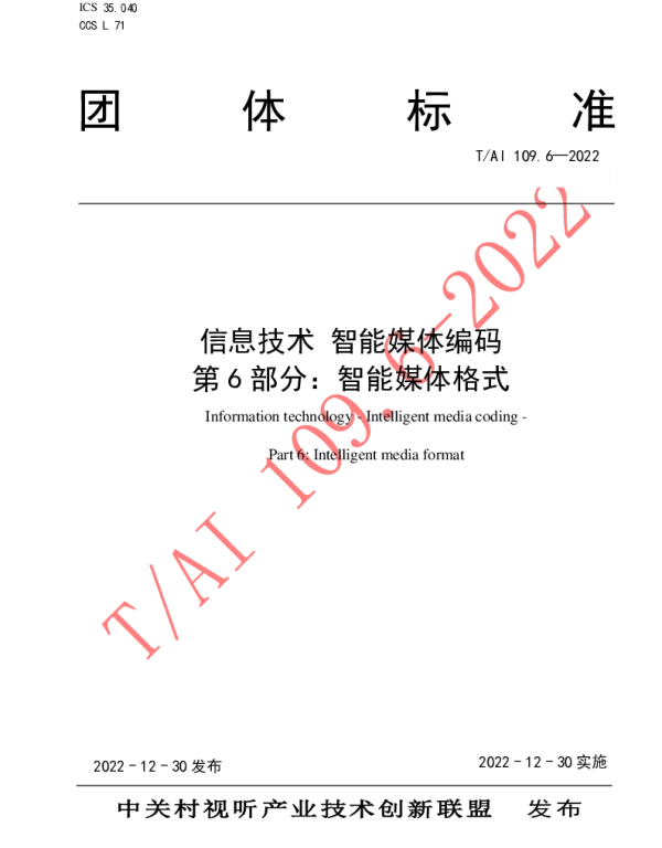 TAI 109.6-2022 信息技术 智能媒体编码 第 6 部分：智能媒体格式