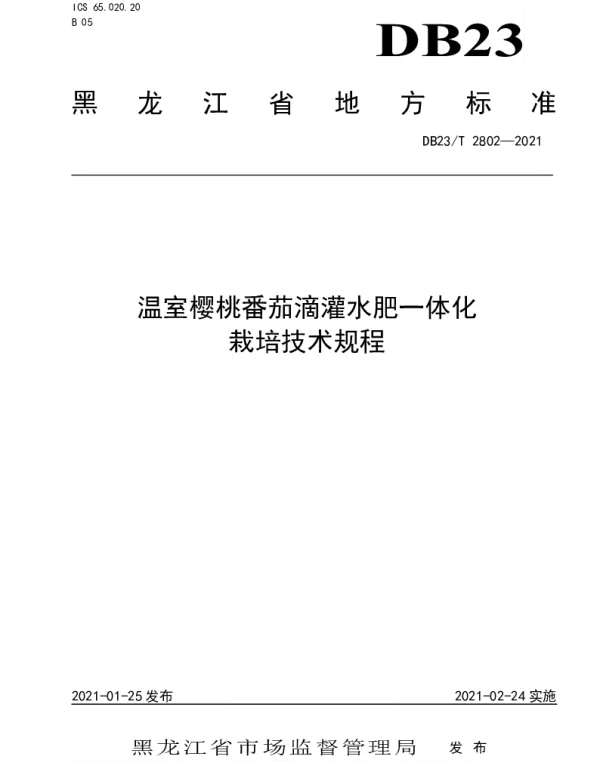 DB23T 2802—2021 温室樱桃番茄滴灌水肥一体化栽培技术规程