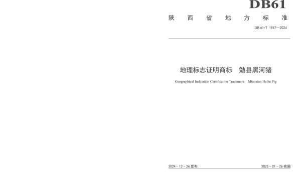 DB61T 1947-2024 地理标志证明商标 勉县黑河猪