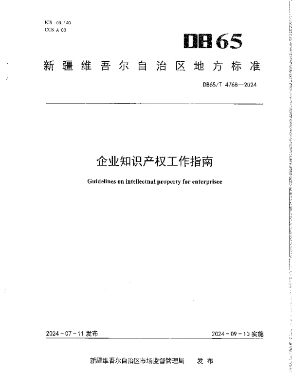 DB65T 4768-2024 企业知识产权工作指南