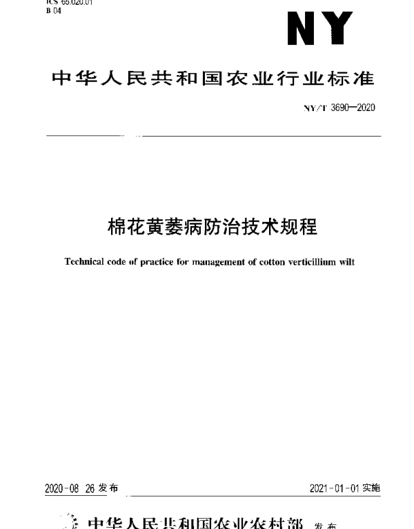 NYT 3690-2020 棉花黄萎病防治技术规程
