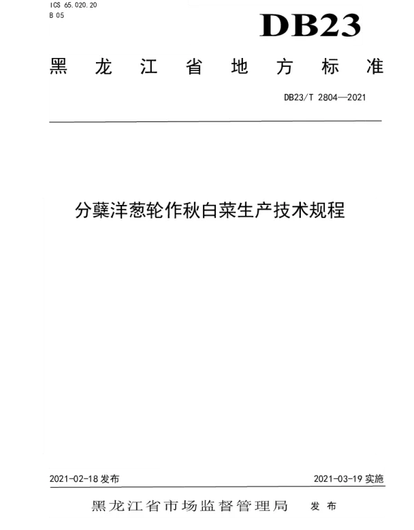 DB23T 2804—2021 分蘖洋葱轮作秋白菜生产技术规程