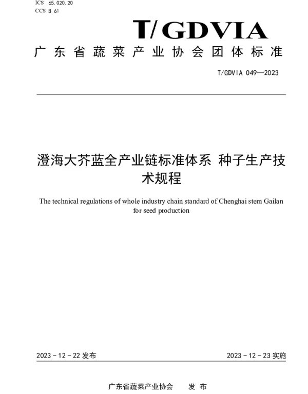 TGDVIA 049-2023 澄海大芥蓝全产业链标准体系 种子生产技术规程