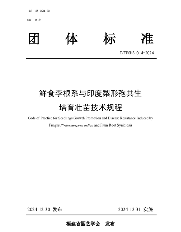 TFPSHS 014-2024 鲜食李根系与印度梨形孢共生培育壮苗技术规程