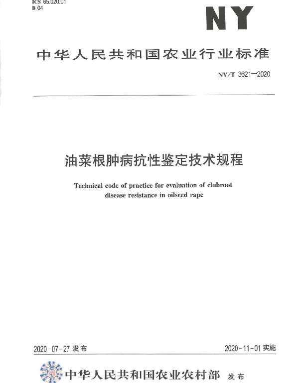 NYT 3621-2020 油菜根肿病抗性鉴定技术规程