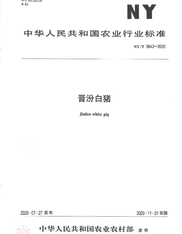 NYT 3643-2020 晋汾白猪