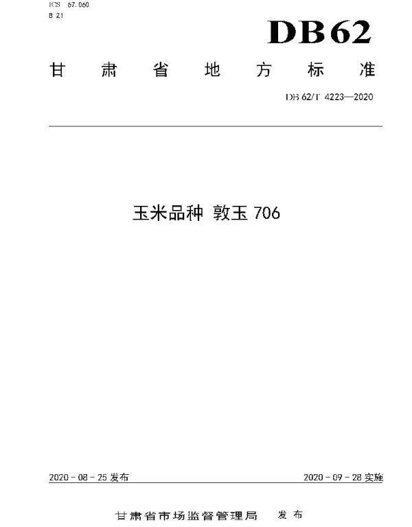 DB62T 4223-2020 玉米品种 敦玉706