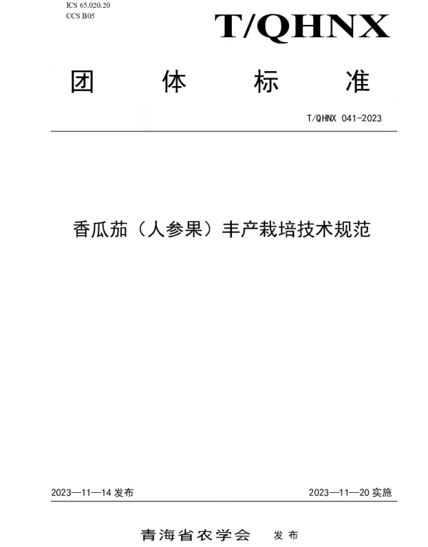 TQHNX 041-2023 香瓜茄（人参果）丰产栽培技术规范