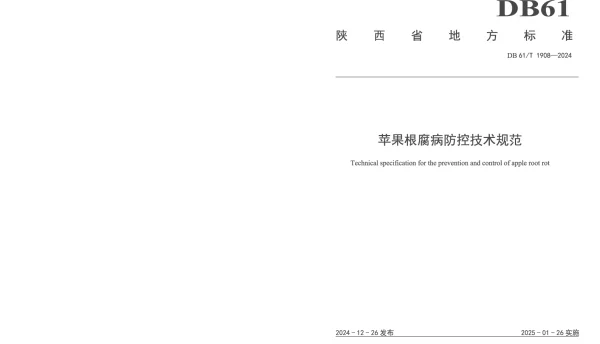 DB61T 1908-2024 苹果根腐病防控技术规范